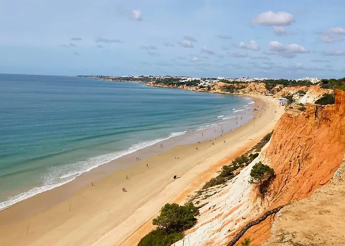 Vtii & Vti 2 X Private With Pool And Garden