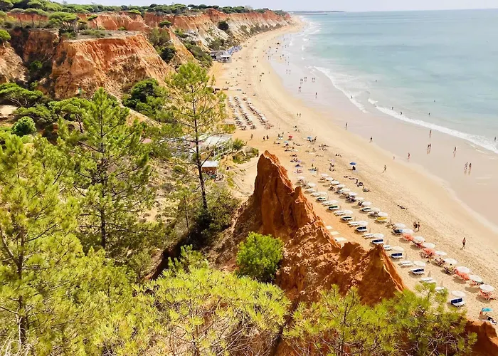 Vtii & Vti 2 X Private With Pool And Garden