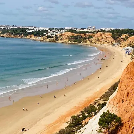 Vtii & Vti 2 X Private With Pool And Garden Vila Albufeira