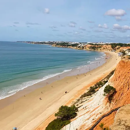 Vtii & Vti 2 X Private With Pool And Garden