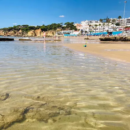 Vtii & Vti 2 X Private With Pool And Garden Villa *