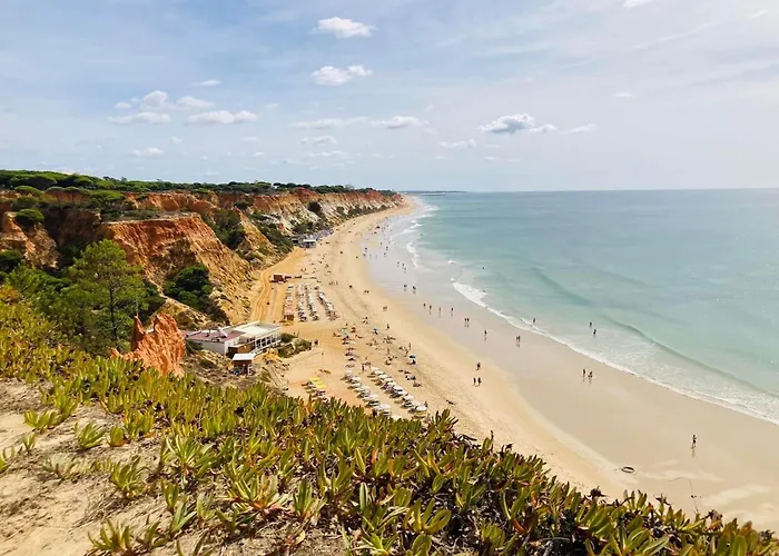 Villa Vtii & Vti 2 X Private With Pool And Garden Albufeira