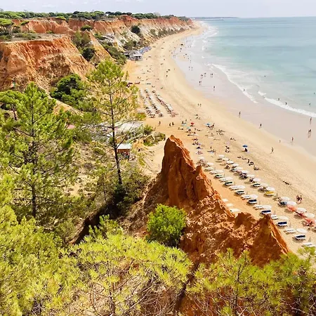 Vtii & Vti 2 X Private With Pool And Garden