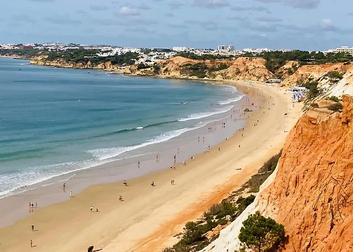 Vtii & Vti 2 X Private With Pool And Garden Villa Albufeira